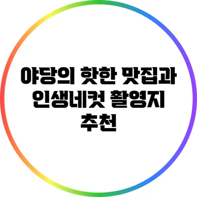 야당의 핫한 맛집과 인생네컷 촬영지 추천
