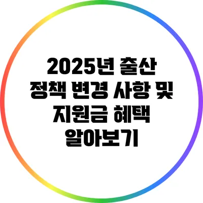 2025년 출산 정책 변경 사항 및 지원금 혜택 알아보기
