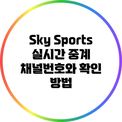 Sky Sports 실시간 중계: 채널번호와 확인 방법