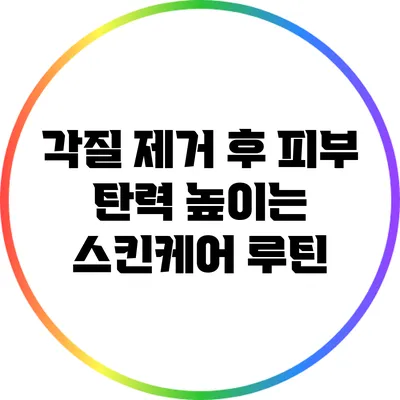 각질 제거 후 피부 탄력 높이는 스킨케어 루틴