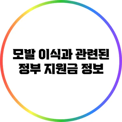 모발 이식과 관련된 정부 지원금 정보