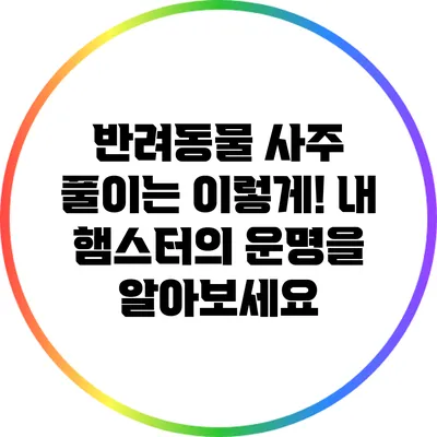 반려동물 사주 풀이는 이렇게! 내 햄스터의 운명을 알아보세요