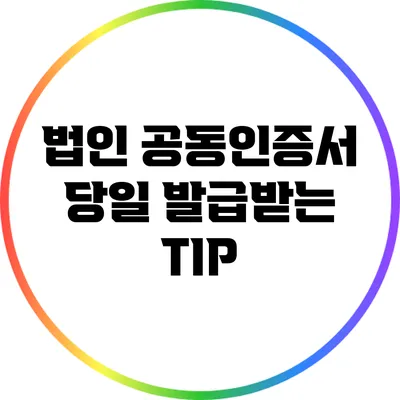 법인 공동인증서 당일 발급받는 TIP