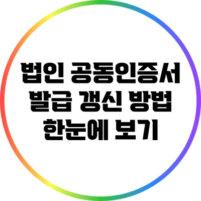 법인 공동인증서 발급 갱신 방법 한눈에 보기