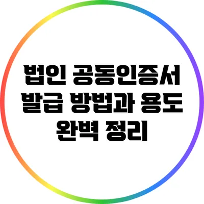 법인 공동인증서 발급 방법과 용도 완벽 정리