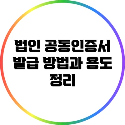 법인 공동인증서 발급 방법과 용도 정리