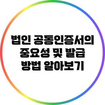 법인 공동인증서의 중요성 및 발급 방법 알아보기
