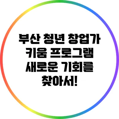 부산 청년 창업가 키움 프로그램: 새로운 기회를 찾아서!