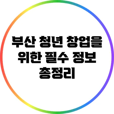 부산 청년 창업을 위한 필수 정보 총정리