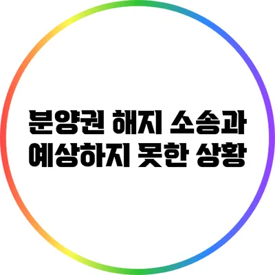 분양권 해지 소송과 예상하지 못한 상황