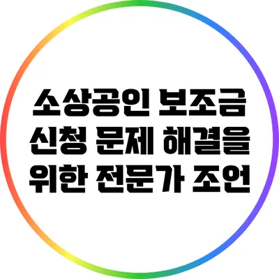 소상공인 보조금 신청 문제 해결을 위한 전문가 조언
