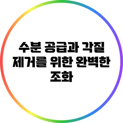 수분 공급과 각질 제거를 위한 완벽한 조화
