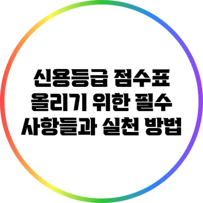 신용등급 점수표: 올리기 위한 필수 사항들과 실천 방법