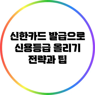 신한카드 발급으로 신용등급 올리기: 전략과 팁