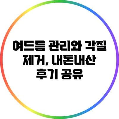 여드름 관리와 각질 제거, 내돈내산 후기 공유