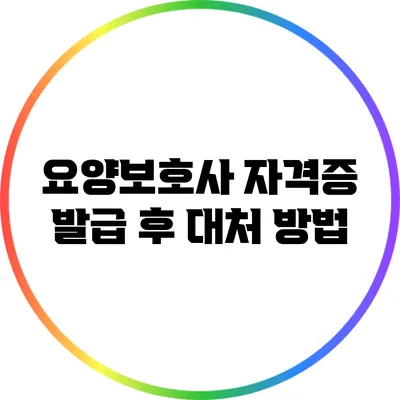 요양보호사 자격증 발급 후 대처 방법