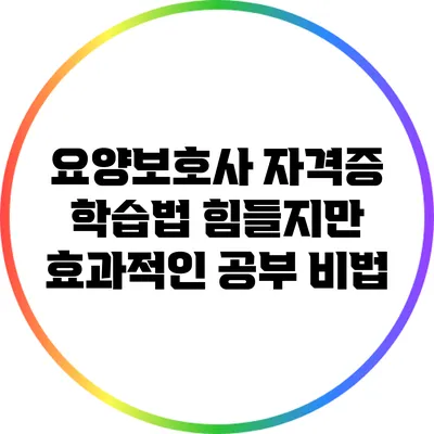 요양보호사 자격증 학습법: 힘들지만 효과적인 공부 비법