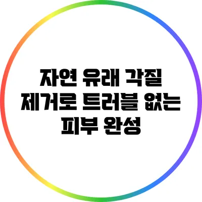 자연 유래 각질 제거로 트러블 없는 피부 완성