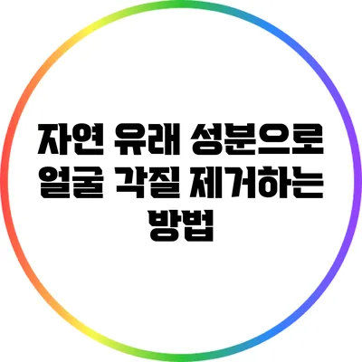 자연 유래 성분으로 얼굴 각질 제거하는 방법