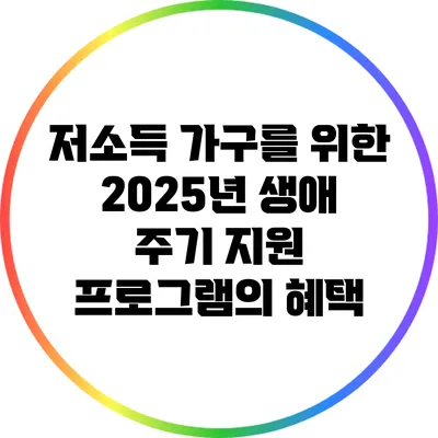 저소득 가구를 위한 2025년 생애 주기 지원 프로그램의 혜택
