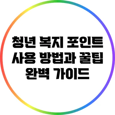 청년 복지 포인트 사용 방법과 꿀팁 완벽 가이드