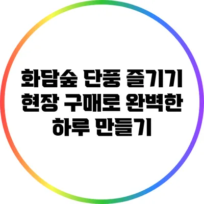 화담숲 단풍 즐기기: 현장 구매로 완벽한 하루 만들기