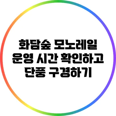 화담숲 모노레일 운영 시간 확인하고 단풍 구경하기