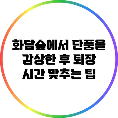 화담숲에서 단풍을 감상한 후 퇴장 시간 맞추는 팁