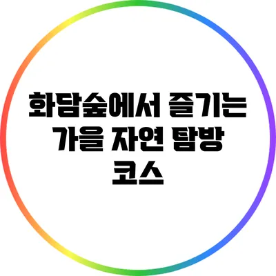 화담숲에서 즐기는 가을 자연 탐방 코스