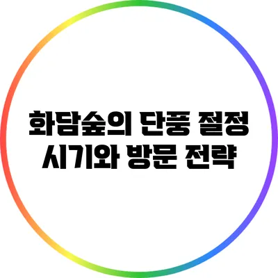 화담숲의 단풍 절정 시기와 방문 전략