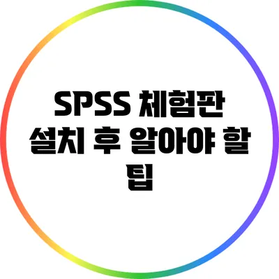 SPSS 체험판 설치 후 알아야 할 팁