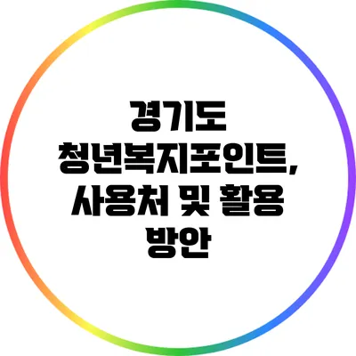 경기도 청년복지포인트, 사용처 및 활용 방안