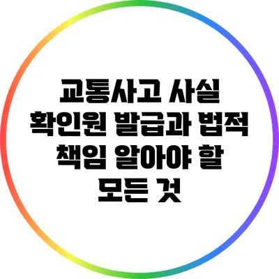 교통사고 사실 확인원 발급과 법적 책임: 알아야 할 모든 것