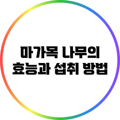 마가목 나무의 효능과 섭취 방법