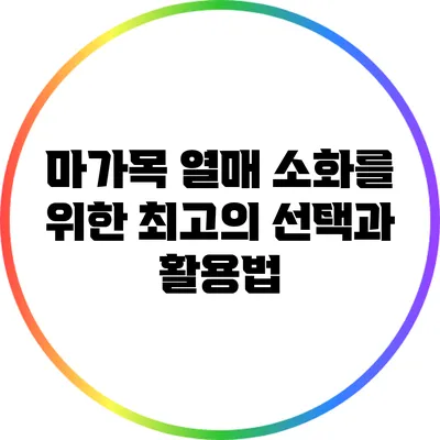 마가목 열매: 소화를 위한 최고의 선택과 활용법