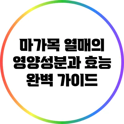 마가목 열매의 영양성분과 효능 완벽 가이드
