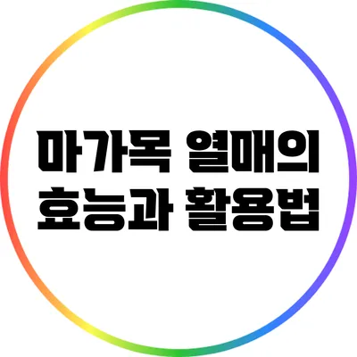마가목 열매의 효능과 활용법