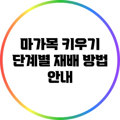 마가목 키우기: 단계별 재배 방법 안내