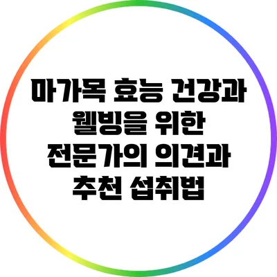 마가목 효능: 건강과 웰빙을 위한 전문가의 의견과 추천 섭취법