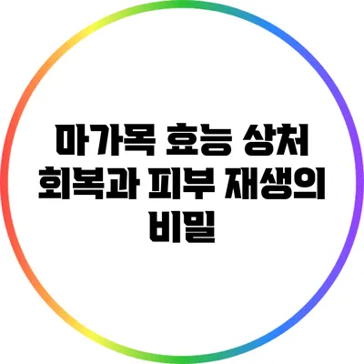 마가목 효능: 상처 회복과 피부 재생의 비밀