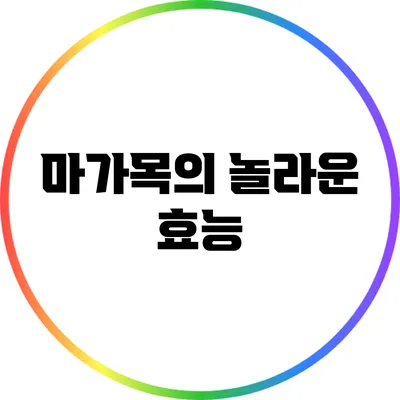 마가목의 놀라운 효능