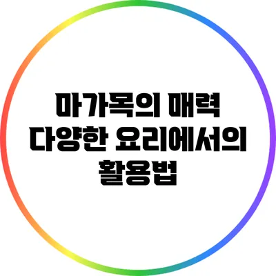 마가목의 매력: 다양한 요리에서의 활용법