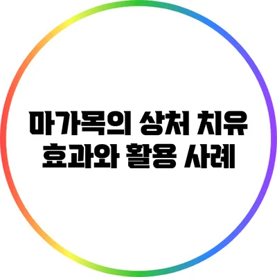 마가목의 상처 치유 효과와 활용 사례