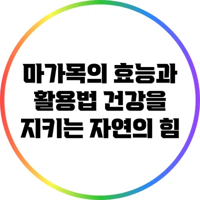 마가목의 효능과 활용법: 건강을 지키는 자연의 힘