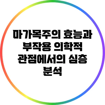 마가목주의 효능과 부작용: 의학적 관점에서의 심층 분석