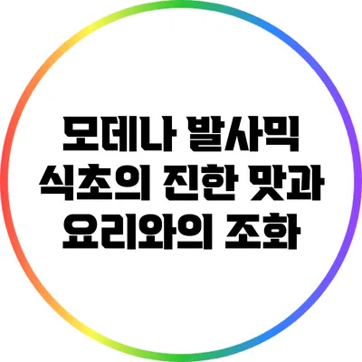 모데나 발사믹 식초의 진한 맛과 요리와의 조화