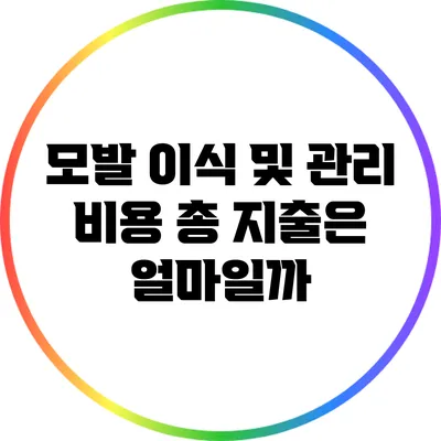 모발 이식 및 관리 비용: 총 지출은 얼마일까?