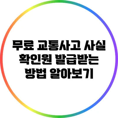 무료 교통사고 사실 확인원 발급받는 방법 알아보기