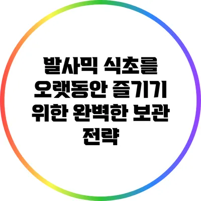 발사믹 식초를 오랫동안 즐기기 위한 완벽한 보관 전략