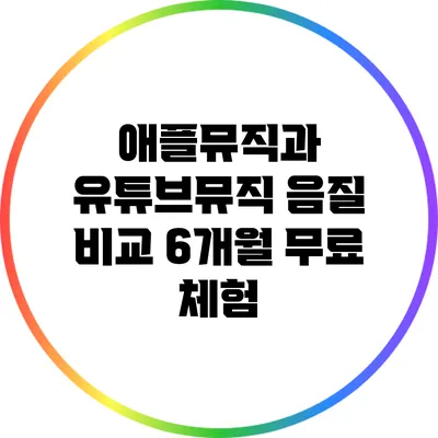애플뮤직과 유튜브뮤직 음질 비교 6개월 무료 체험